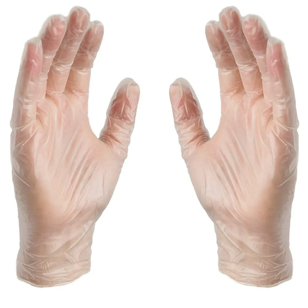 Powder Free Vinyl Gloves, Latex Free, Clear, Large, 100/Box, 10 Boxes/Carton (GP46100-CC)<X3 Discount